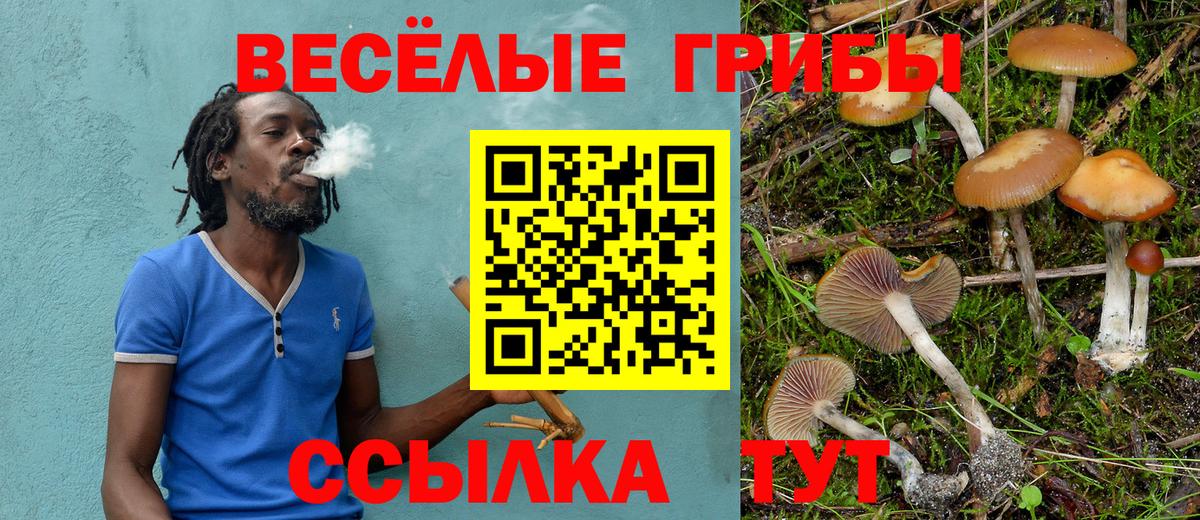 Псилоцибиновые грибы Magic Shrooms  Вход с VPN  Ялуторовск 